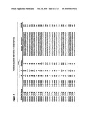 CLONING OF CYTOCHROME P450 GENES FROM NICOTIANA diagram and image