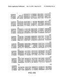 NEUTROKINE-ALPHA ANTIBODIES AND METHODS OF USE THEREOF diagram and image