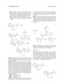 PROCESS FOR PRODUCING GLUTAMATE DERIVATIVES diagram and image