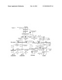 METABOLICALLY ENGINEERED MICROORGANISM USEFUL FOR THE PRODUCTION OF 1,2-PROPANEDIOL diagram and image