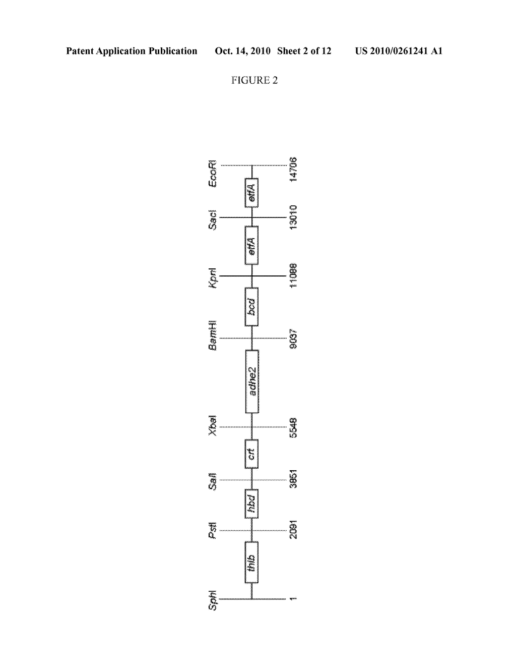 METHODS FOR THE PRODUCTION OF N-BUTANOL - diagram, schematic, and image 03