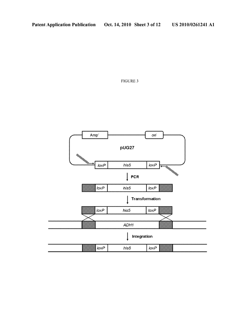 METHODS FOR THE PRODUCTION OF N-BUTANOL - diagram, schematic, and image 04