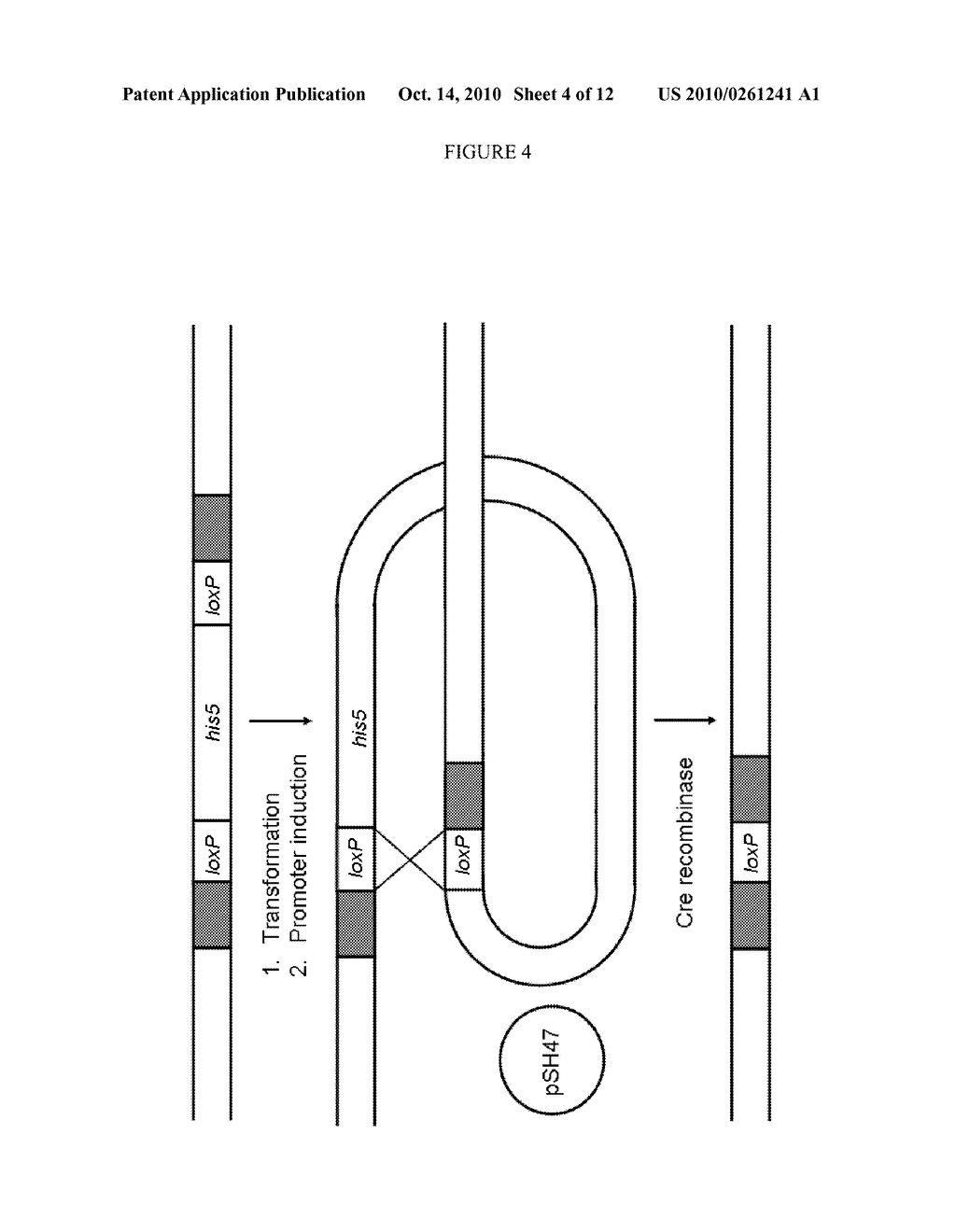 METHODS FOR THE PRODUCTION OF N-BUTANOL - diagram, schematic, and image 05