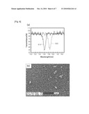 METHOD FOR IMMOBILIZING BIO-MATERIAL ON TITANIUM DIOXIDE NANOPARTICLES AND TITANIUM DIOXIDE NANOPARTICLES IMMOBILIZED BY BIO-MATERIAL diagram and image