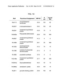 Circular permutant GFP insertion folding reporters diagram and image