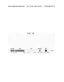 Circular permutant GFP insertion folding reporters diagram and image