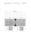 Circular permutant GFP insertion folding reporters diagram and image