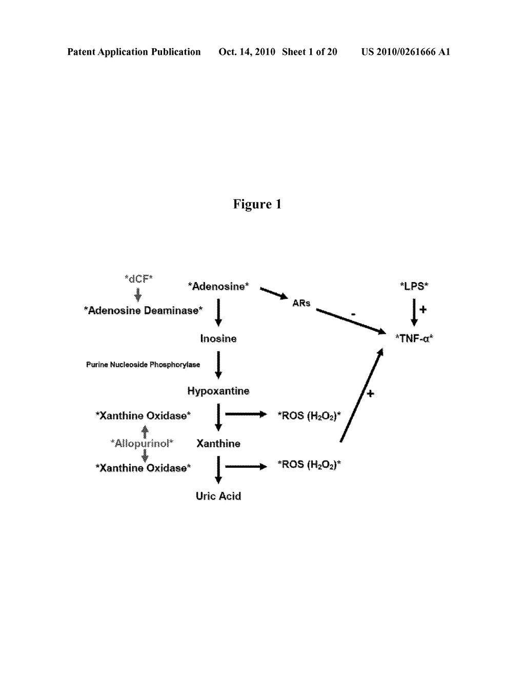 COMPOSITIONS AND METHODS FOR THE TREATMENT OF MYOCARDIAL DYSFUNCTION ASSOCIATED WITH SIRS OR SEPSIS - diagram, schematic, and image 02