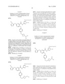 N-PYRAZOLE-2-PYRIDINE CARBOXAMIDE DERIVATIVE diagram and image