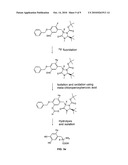 METHOD FOR PRODUCING PRECURSORS FOR L-3,4-DIHYDROXY-6- [18F] FLUOROPHENYL ALAINE AND 2- [18F] FLUORO-L-TYROSINE AND THE ALPHA-METHYLATED DERIVATIVES THEREOF, PRECURSOR, AND METHOD FOR PRODUCING L-3, 4DIHYDROXY-6- [18F] FLUOROPHENYLALANINE AND 2- [18F] FLUORO-L-TYROSINE AND THE ALPHA-METHYLATED DERIVATIVES FROM THE PRECURSOR diagram and image