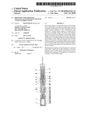 Disposable injector with a manually actuated piston and with a twin chamber system diagram and image