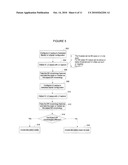 Anodal Stimulation Detection and Avoidance diagram and image