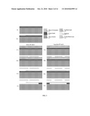 LOW-COST PROCESS-INDEPENDENT RF MEMS SWITCH diagram and image