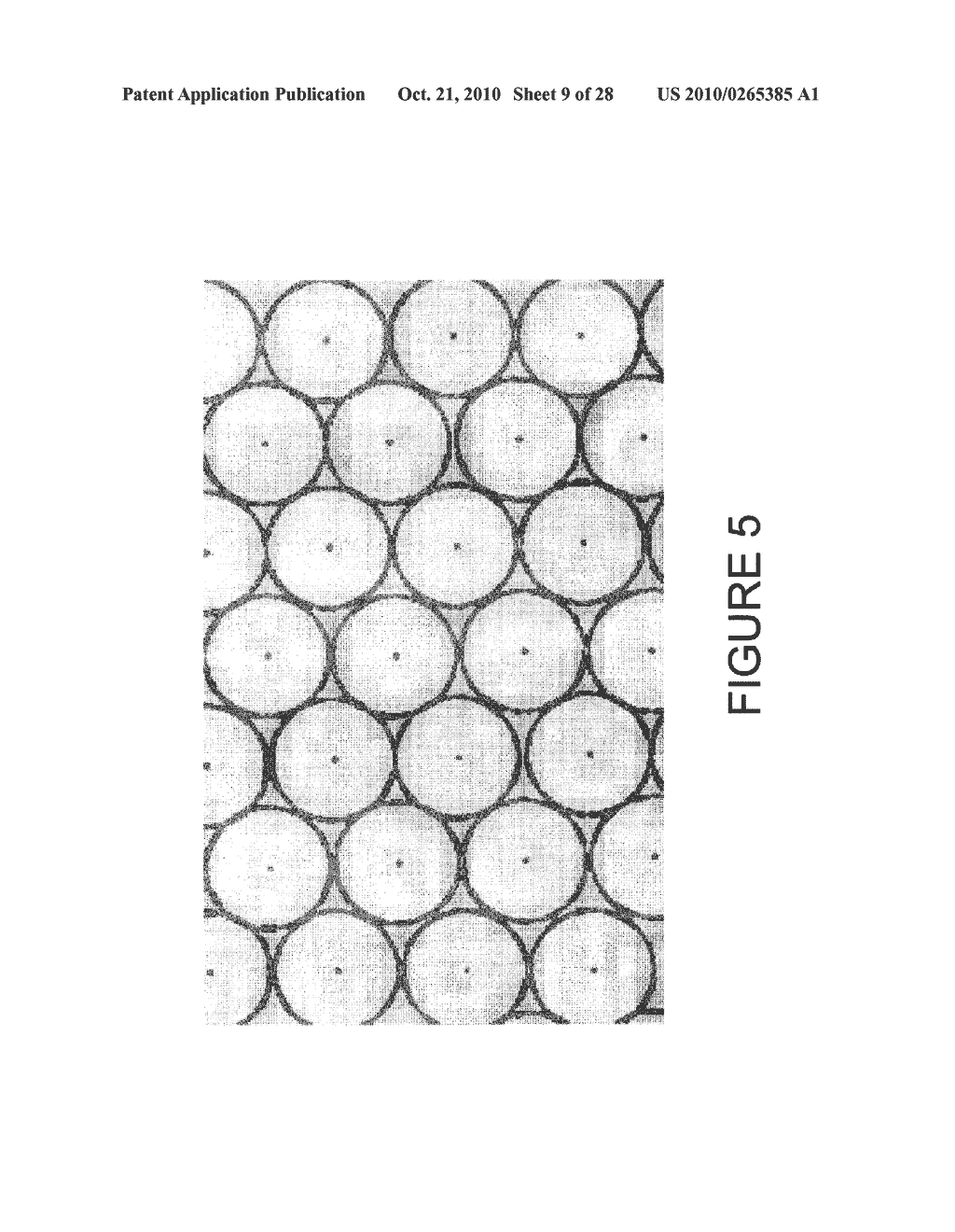Light Field Camera Image, File and Configuration Data, and Methods of Using, Storing and Communicating Same - diagram, schematic, and image 10