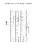 Internalizing Anti-CD74 Antibodies and Methods of Use diagram and image