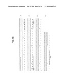 Internalizing Anti-CD74 Antibodies and Methods of Use diagram and image