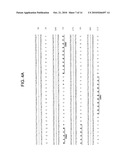 Internalizing Anti-CD74 Antibodies and Methods of Use diagram and image