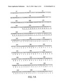 Death Domain Containing Receptors diagram and image