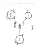 OBLIGATELY ANAEROBIC MUTANT LACTIC ACID BACTERIUM AND PREPARATION METHOD THEREFOR, AND EXPRESSION VECTOR FUNCTIONING IN OBLIGATELY ANAEROBIC LACTIC ACID BACTERIUM diagram and image