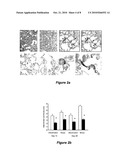 TREATMENT OF CHRONIC LUNG DISEASE diagram and image