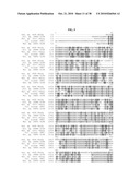 Polyunsaturated Fatty Acid Synthase Nucleic Acid Molecules and Polypeptides, Compositions, and Methods of Making and Uses Thereof diagram and image