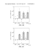 INHIBITION OF IL-17 PRODUCTION diagram and image