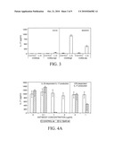 INHIBITION OF IL-17 PRODUCTION diagram and image