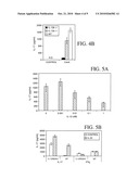 INHIBITION OF IL-17 PRODUCTION diagram and image