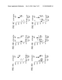 INHIBITION OF IL-17 PRODUCTION diagram and image