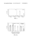 INHIBITION OF IL-17 PRODUCTION diagram and image