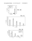 INHIBITION OF IL-17 PRODUCTION diagram and image