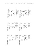 INHIBITION OF IL-17 PRODUCTION diagram and image