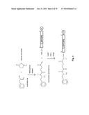 SYNTHETIC, SELF ADJUVANTING VACCINES diagram and image