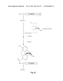 SYNTHETIC, SELF ADJUVANTING VACCINES diagram and image