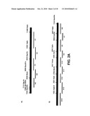 Compositions and Methods for Generating an Immune Response Utilizing Alphavirus-Based Vector Systems diagram and image