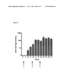 METHOD OF CONFERRING A PROTECTIVE IMMUNE RESPONSE TO NOROVIRUS diagram and image