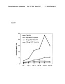 METHOD OF CONFERRING A PROTECTIVE IMMUNE RESPONSE TO NOROVIRUS diagram and image