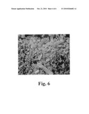 POLYETHYLENE GLYCOL-COATED SODIUM CARBONATE AS A PHARMACEUTICAL EXCIPIENT AND COMPOSITIONS PRODUCED FROM THE SAME diagram and image