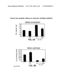 USE OF INSULIN FOR THE TREATMENT OF CARTILAGINOUS DISORDERS diagram and image