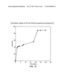 USE OF INSULIN FOR THE TREATMENT OF CARTILAGINOUS DISORDERS diagram and image