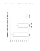 USE OF INSULIN FOR THE TREATMENT OF CARTILAGINOUS DISORDERS diagram and image