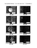 NICKEL BASED ALLOYS TO PREVENT METAL DUSTING DEGRADATION diagram and image