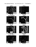 NICKEL BASED ALLOYS TO PREVENT METAL DUSTING DEGRADATION diagram and image