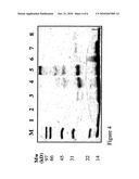 Crosslinking Within Coordination Complexes diagram and image