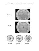 SOLID-FLUID COMPOSITION AND USES THEREOF diagram and image