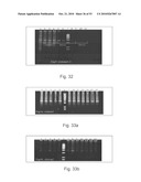 SOLID-FLUID COMPOSITION AND USES THEREOF diagram and image