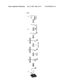 Method and apparatus for detecting nucleic acids using bead and nanopore diagram and image