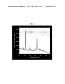 METHODS TO INCREASE NUCLEOTIDE SIGNALS BY RAMAN SCATTERING diagram and image