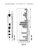 MN/CA IX and Cancer Prognosis diagram and image