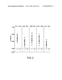 Test Method on Feline Vaccinated with Feline Immunodeficiency Virus Vaccine, and Antigen for Use in the Test diagram and image